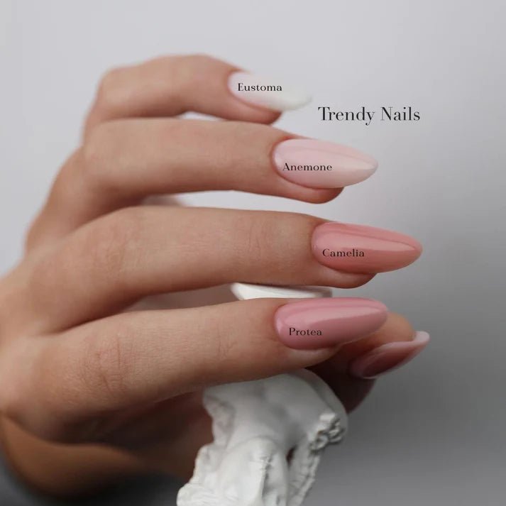 Fiber base PROTEA, Trendy Nails - SimDi Beauty